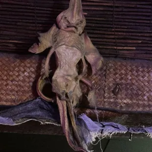 Can you guess what this is