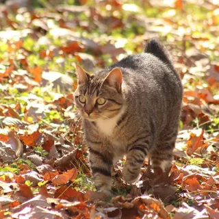 Molly H.