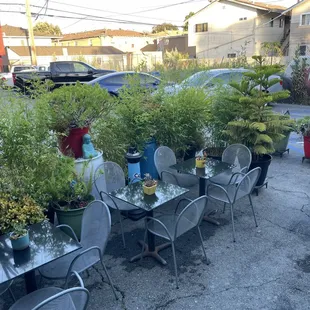 The new much smaller patio ( no more garden)