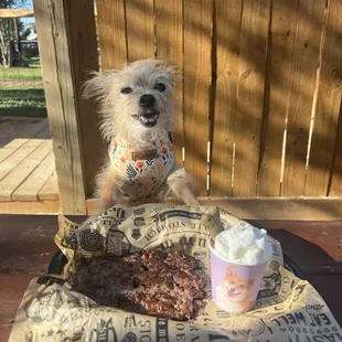 Pup meal: Pup cup and unseasoned beef patty