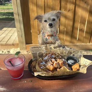 Chicken and Waffles