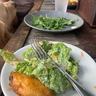 Wisconsin salad and a buffalo wing