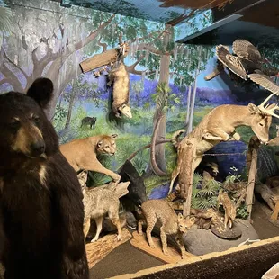 Taxidermy diorama of animals that appear in Marjorie Kinney Rawlings book "The Yearling"