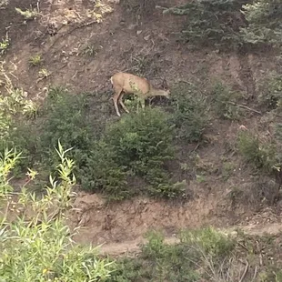Outside the restaurant.