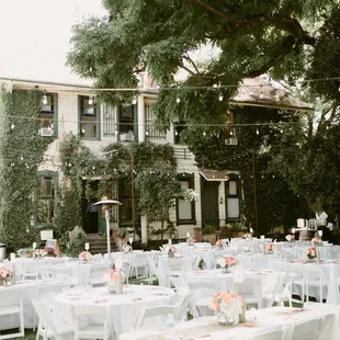 What a beautiful back from!