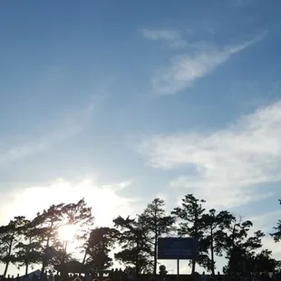 Pretty evening _hearts