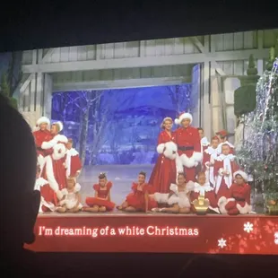 Movie Screen (can vary according to event)