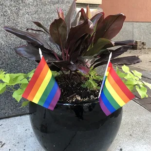 Theatre Three in sync with the rest of the country's Pride Week. Too hot, Dallas?!?!? It's never too hot to have Pride!