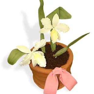 Courtesy of their website