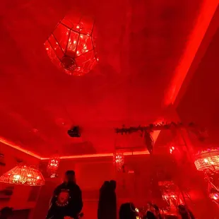 Back room, fur ceiling