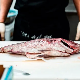 Madai! Japanese Red Snapper!
We only serve up the finest freshest fish, sliced daily to ensure your tummy is fully satisfied!