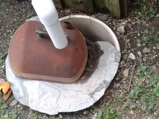 Reelfoot Lake Sportsman's Resort