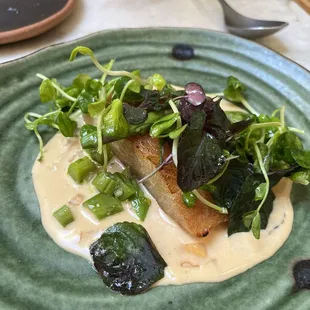 Black Cod