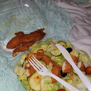a plate of chicken and salad