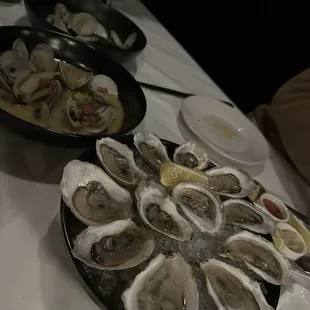 Oysters