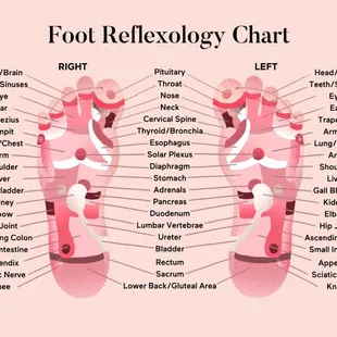 Come and Try Our Services