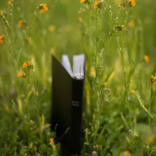 My beautiful ring along with my husband's Bible.