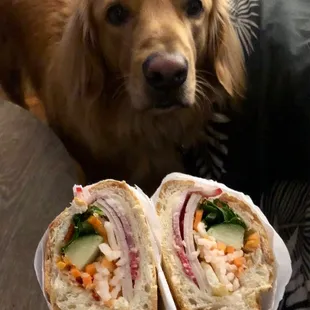 Banh Mi Dac Biet &amp; Stewie