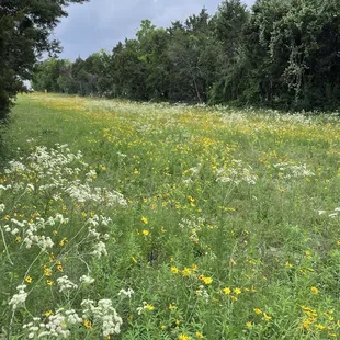 This is right next to it!