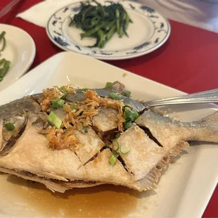 S16. Pan Fried Pomfret Fish Chef's Special $20