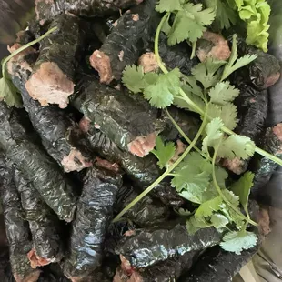 Bo la lot 50 for $70