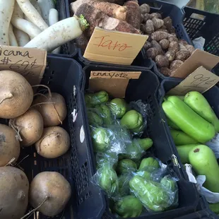 Lots of exotic veggies