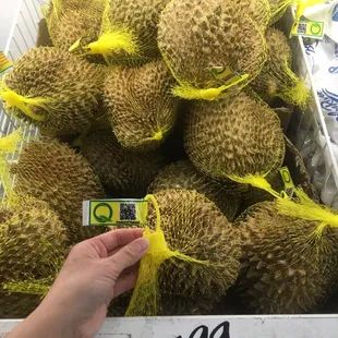 Thai durian (Q brand $5/lb)
