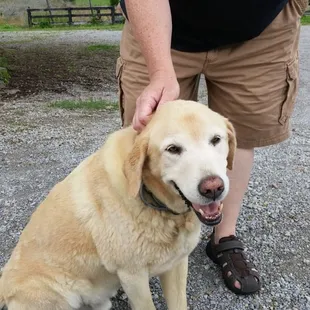 Official guest relations associate:  Howard.