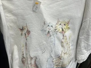 Safe Haven Thrift Store