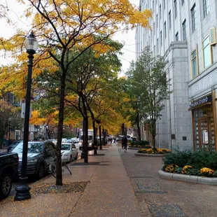 Autumn Newbury Street