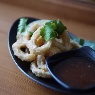 Fried Calamari