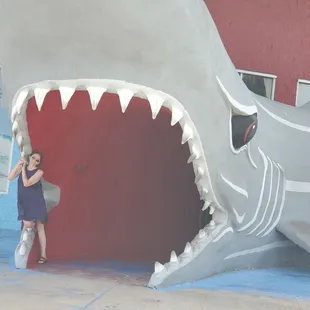 Shark entrance photo op!