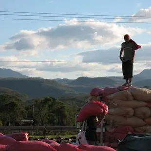 Loading pergamino coffee at Cecocafen in Nicaragua