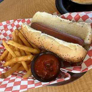 Plain hotdog with fries