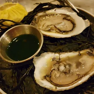 Raw Oysters