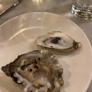Oysters
