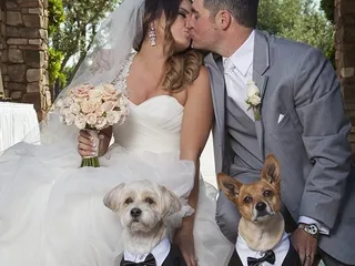 Ambient Art Photography