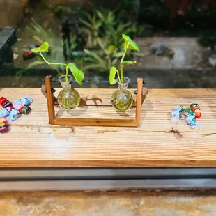 a wooden table with three glass vases containing plants