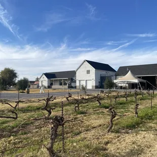 Backside of the farm and coffee shop