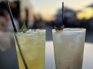 Percheron Rooftop Bar