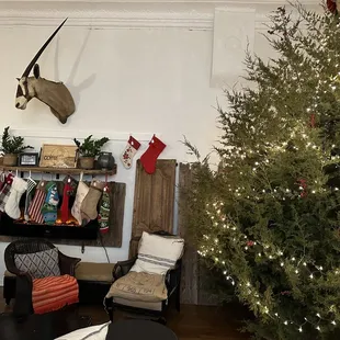 a christmas tree and a deer head