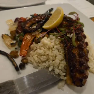 Octopus