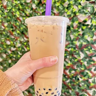 House Milk Tea