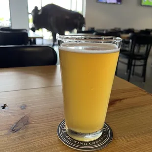 Pickle Sandwich  Watermelon Dill Gose