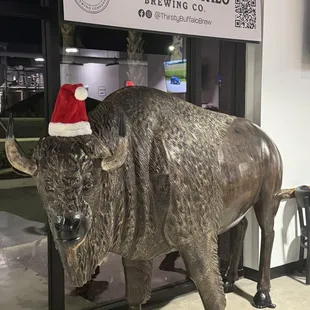 Their mascot decked out for the holidays