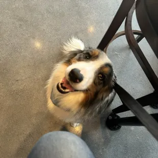 Stetson gives this place a thumbs up!