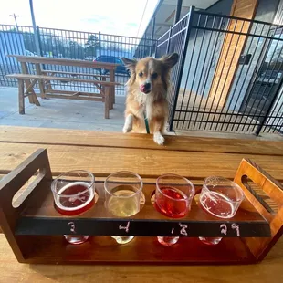 Beer Flights