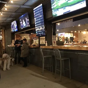 Outside area of The Thirsty Dog