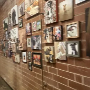 If you bring a framed photo of your dog, they will hang it up!