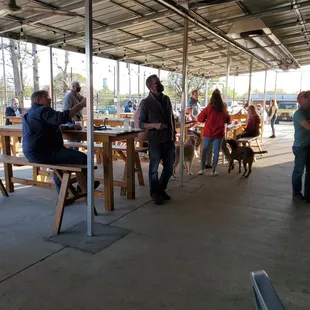 Thirsty Dog in Belmont!